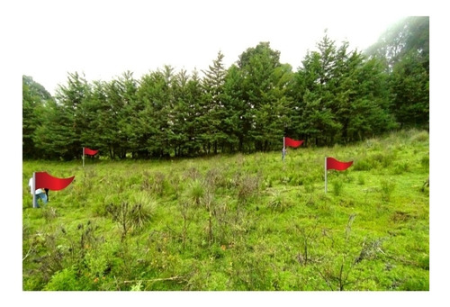 Imagen 3 de 4 de Terreno Para Casa De Descanso