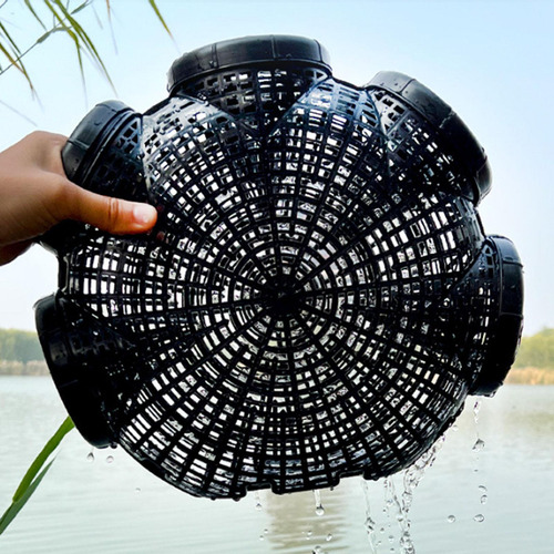 Cangrejo Catching Net Accesorios De Pesca Canasta 5 Agujeros