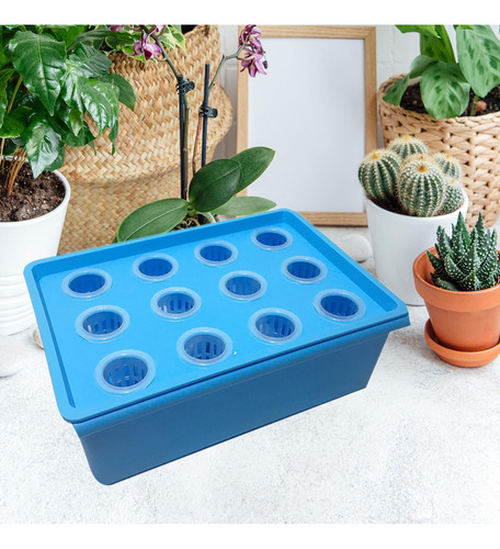 Caja De Hidropónico, Herramientas Hidropónicas, Caja De