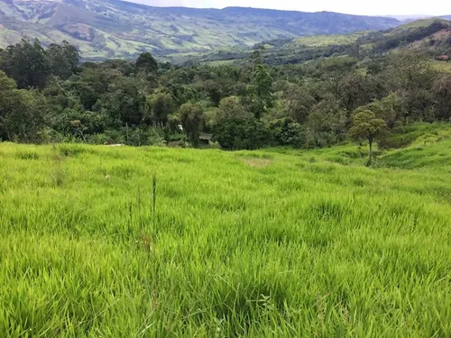 Finca En Guacamayas, Santander, Al Día En Documentos.