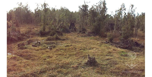 Venta Parcela 1 Hectárea En Ancud, Chiloé