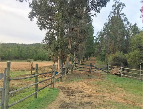 Cauquenes Viñas Y Forestal, 2 Tranques (70047)