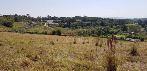 Imagem 6 de 15 de Terreno À Venda, 20000 M² Por R$ 1.600.000,00 - Água Espraiada (caucaia Do Alto) - Cotia/sp - Te9001