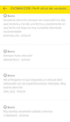 Litera Castillo Con Resbaladilla