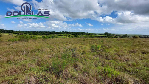Imagem 8 de 15 de 4 Hectares Ótima Localização - 1714