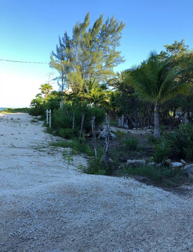 Imagen 6 de 30 de Terreno Con Playa, Bahia Petempich, Pto. Morelos, Quintana R
