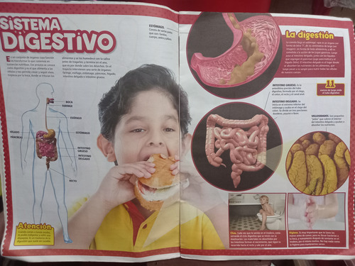 Gran Libro Del Cuerpo Humano, Billiken+ 2 Laminas