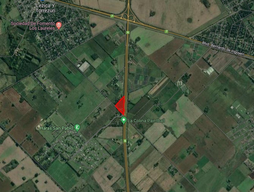 Imagen 3 de 8 de Alquiler 3 Hectareas Sobre Ruta 6