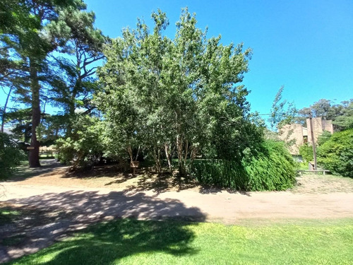 Imagen 6 de 6 de Lote Terreno Venta Pinamar Zona Iglesia Foca 705 M2