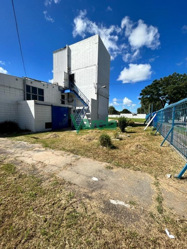 Imagen 16 de 25 de Venta Local Comercial Nuevo Paris, Zona Para Logística!! - Montevideo Nuevo Paris