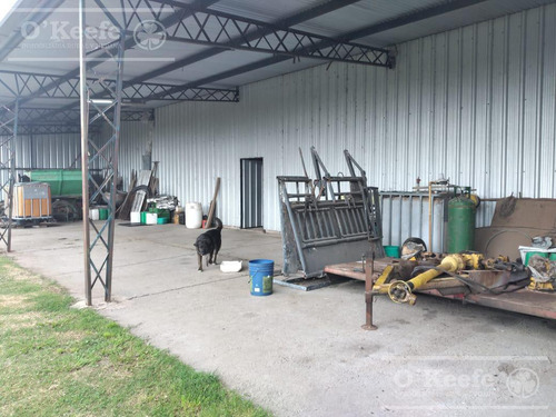 Imagen 19 de 22 de Campo Mixto En Venta En Chivilcoy 60 % Agrícola - Armado
