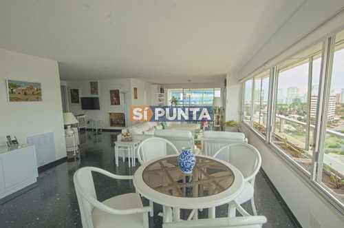 Imagen 11 de 30 de Apartamento En Venta - Brava