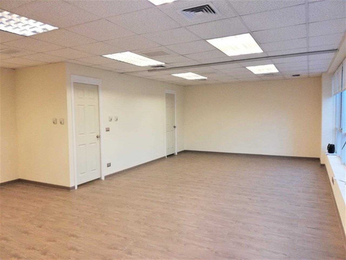 Impecable Y Moderna, Luminosa, Planta Libre Terminada