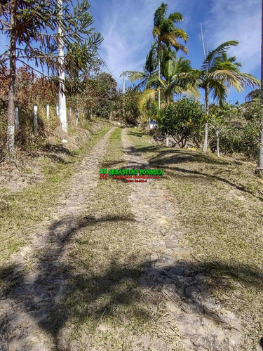 Imagem 7 de 15 de Chácara Em Santa Branca Com Nascente E Tanque De Peixe - 2113