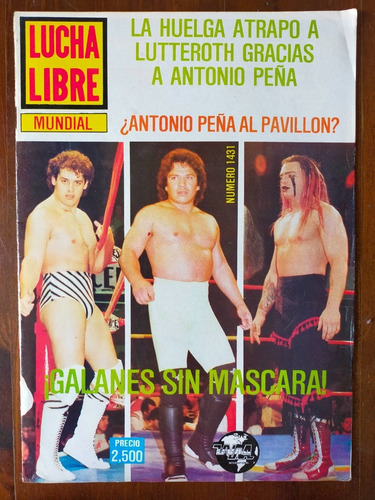 Rayo De Jalisco Jr. Revista Lucha Libre Mundial El Santo Jr.