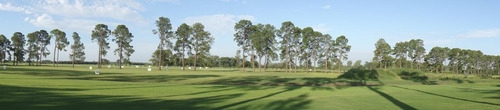 Imagen 8 de 12 de Terreno - Los Pinares C. Club