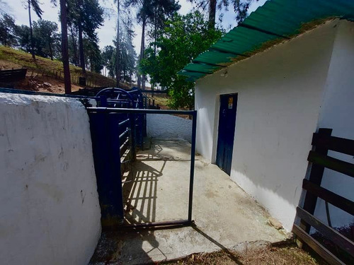 Finca Agrícola, En El Estado Miranda Fp