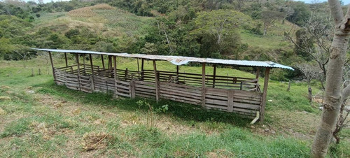 Ninoska Bautista Vende Granja Ubicada En El Valle