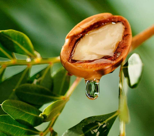Aceite Capilar Argan Morocco