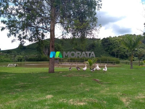Imagem 3 de 15 de Fazenda - Zona Rural - Ref: 1395 - V-mta1395