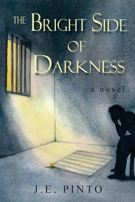 Libro The Bright Side Of Darkness - Pinto, J. E.