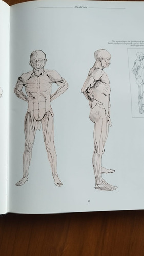 Anatomy Perspective And Composition For Artist - Stan Smith (Usado)