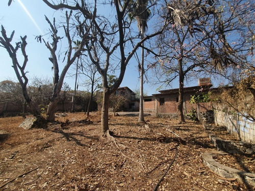 Imagen 6 de 30 de Terreno En Venta En Miacatlán