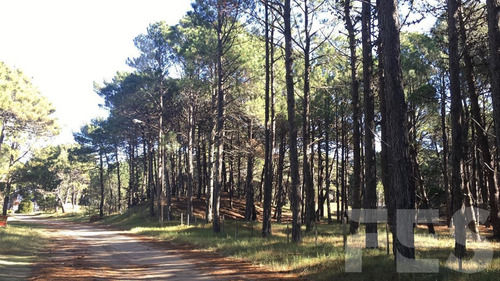 Imagen 1 de 5 de Venta - Lote - Pinamar Norte