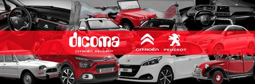 Rejilla Cromada Capot 3cv