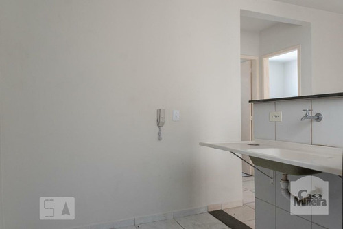Imagem 14 de 15 de Apartamento À Venda No São João Batista - Código 466466 - 466466