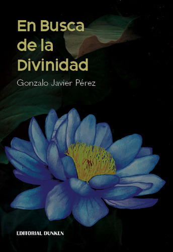 En Busca De La Divinidad - Perez Gonzalo Javier (libro) -  