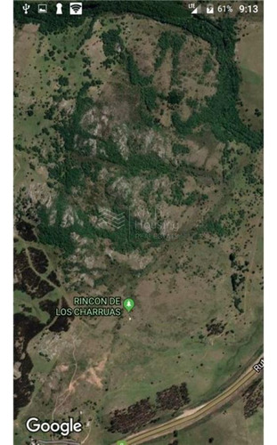 Venta - Chacra 5 Ha, Paraje Del Penitente, Sobre Ruta 8, Minas. Lavalleja.
