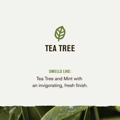 Every Man Jack Tea Tree Mens Thickening Shampoo + Condiciona