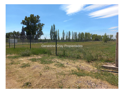 Imagen 4 de 11 de Lotes En Venta De 1500 M2 En Barrio Privado Estilo Chacra, Cipolletti