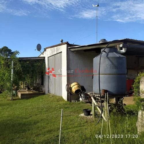 Venta - Campo De 112 Hectareas Rocha