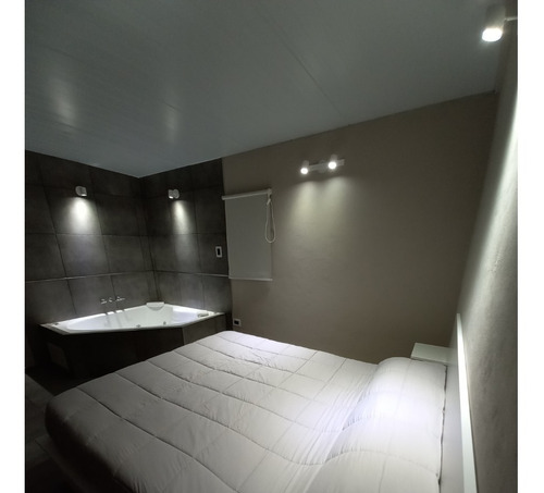 Imagen 6 de 18 de Loft San Rafael - Alquiler Turismo San Rafael Mendoza