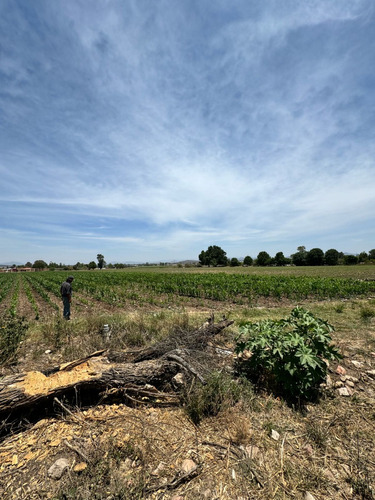 Magnífico Terreno En Tequisquiapan, Qro. Sup. 4 Hectáreas  Ideal Para Rancho.