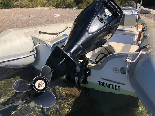 Semirrígido Viking Motor Mercury 60 4t