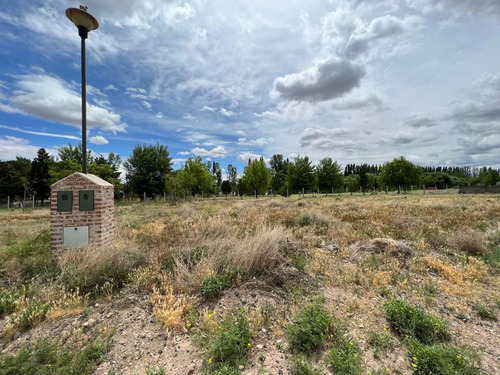 Imagen 8 de 11 de Venta Terreno 600 Mts Las Catalpas