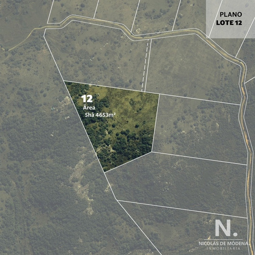 Chacra De 5 Hectareas En Aigua , Maldonado