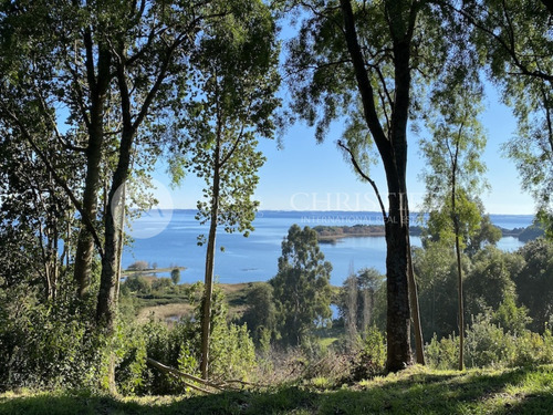 20984 - Parcela Frente Al Lago Llanquihue