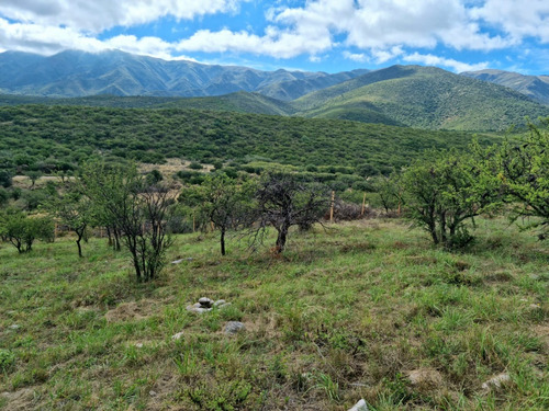 Terreno En Venta En Los Cocos!