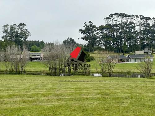 Hermoso Lote En Venta De 5000 Mtrs 2