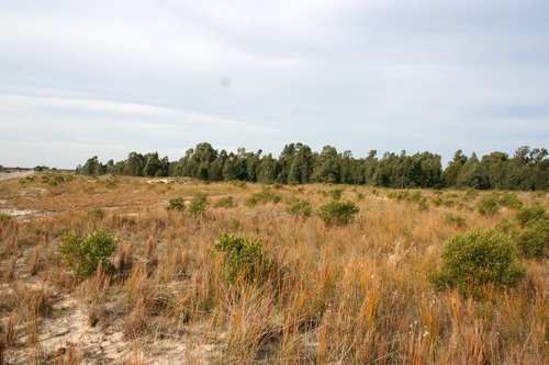 200 Has Sobre El Río De La Plata En Carmelo
