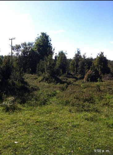 Parcelas En Venta En Quemchi, Las Lumas, Sector Aucho.