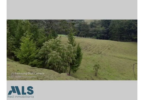 Finca Independiente En Rionegro - El Tablazo(mls#249941)