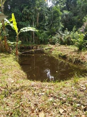 Imagem 3 de 11 de Linda Chácara Com 2400 Metros Quadrados E Lago Em Itanhaém