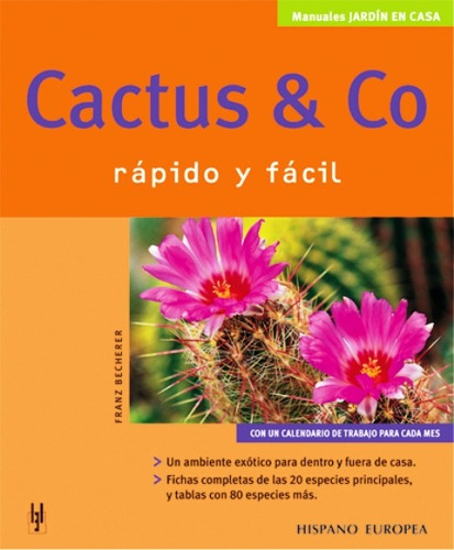 Cactus Y Co . Rapido Y Facil