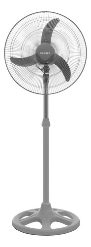 Ventilador De Pie Ranser Vp-ra18g 18