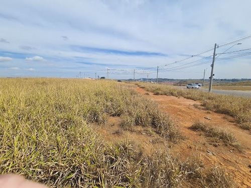 Imagem 8 de 10 de Terreno À Venda, 302 M² Por R$ 310.000,00 - Floresta - São José Dos Campos/sp - Te1672